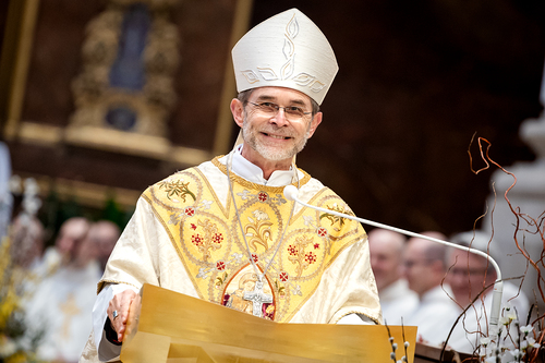 Priesterweihe Ambruster / Erzdiözese Wien/Schönlaub