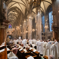 Chrisammesse 2025 / Erzdiözese Wien/ Schönlaub, Stephan Schönlaub