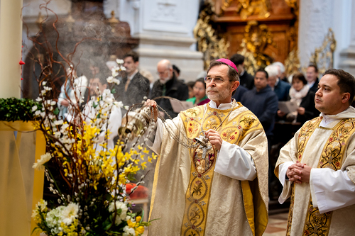 Priesterweihe Ambruster / Erzdiözese Wien/Schönlaub