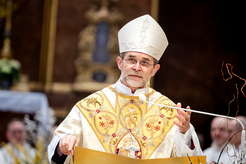 Priesterweihe Ambruster / Erzdiözese Wien/Schönlaub